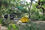 Campsite im Myakka River State Park