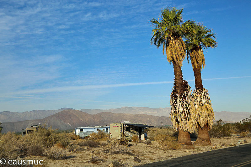 Wohnmobil und Palmen auf dem Campground