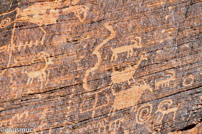 Petroglyphs Mouses Tank