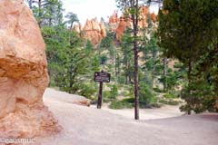 Abzweigung Navajo- und Queens Garden Trail
