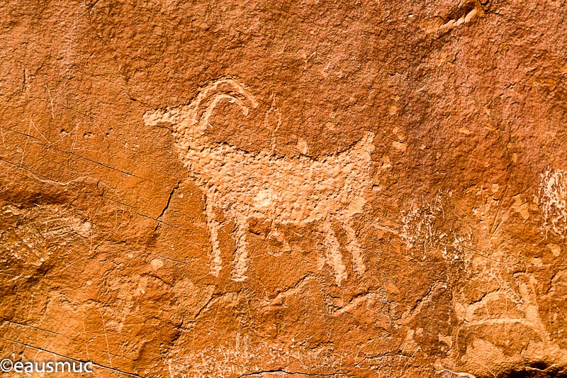 Desert Bighorn Petroglyph