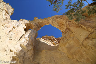 Grosvenor Arch