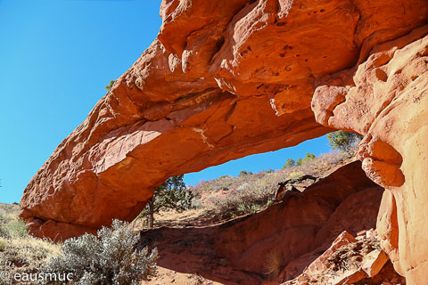 Moby Dick Arch