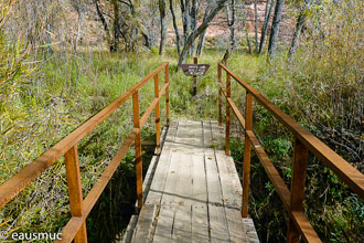 Brücke über den Calf Creek